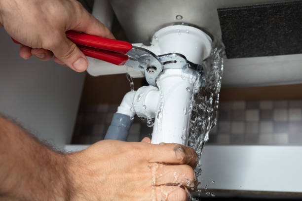 Best Local water damage restoration  in Gberts, IL