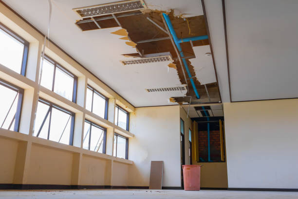 Best Carpet water damage restoration  in Gberts, IL
