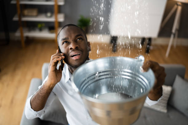 Carpet water damage restoration in Gilberts, IL