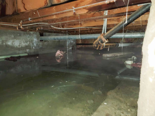 Best Ceiling water damage repair  in Gberts, IL