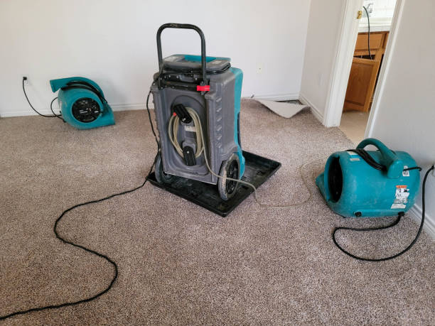 Best Water damage cleanup near me  in Gberts, IL