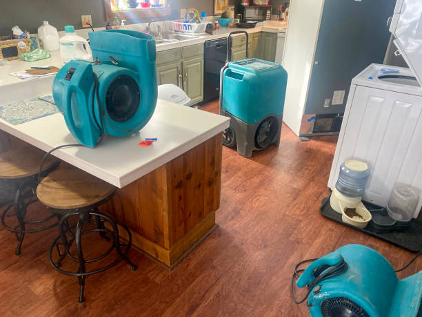 Best Water damage restoration near me  in Gberts, IL