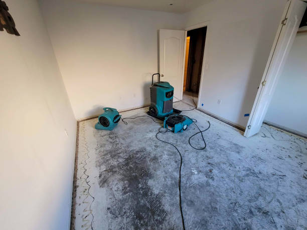 Fire Damage Restoration in Gilberts, IL