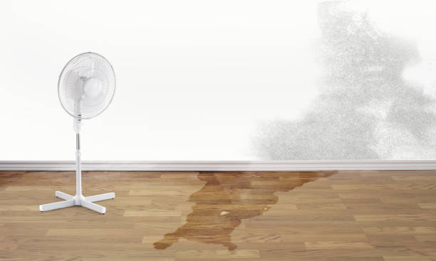 Best Local water damage restoration  in Gberts, IL