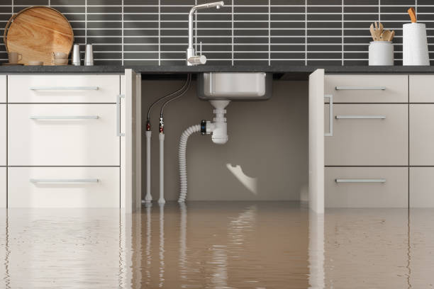 Best Sewage cleanup and water damage restoration  in Gberts, IL