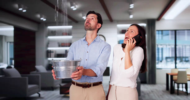 Best Basement water damage restoration  in Gberts, IL