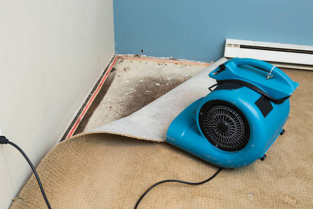 Best 24-hour water damage restoration  in Gberts, IL